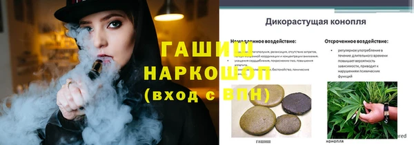 ешки Армянск