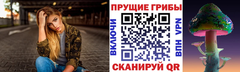 купить наркоту  Сорочинск  Галлюциногенные грибы Psilocybine cubensis 